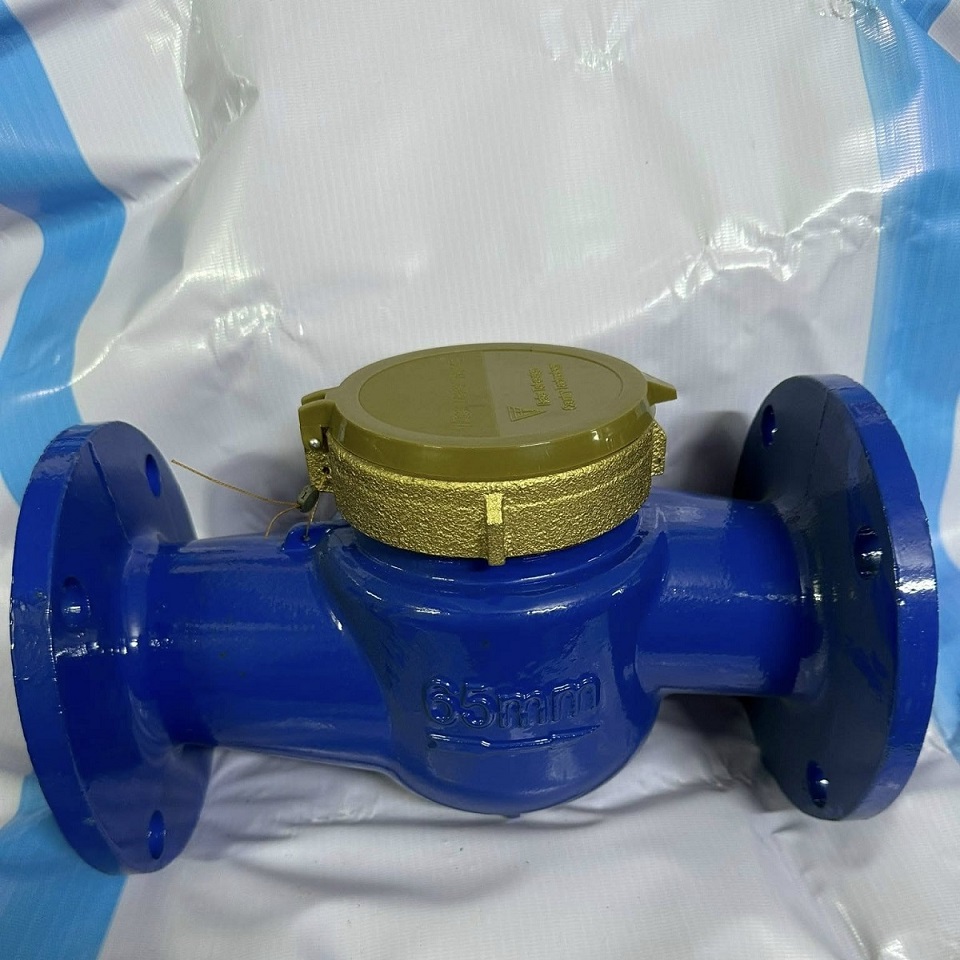 Đồng hồ nước FG mặt bích