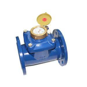 Đồng hồ nước FG