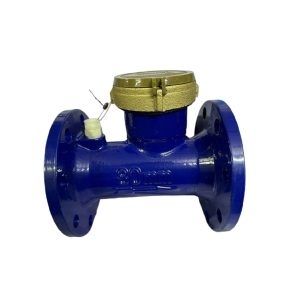 Đồng hồ nước fuda