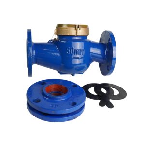 Đồng hồ nước trung đức