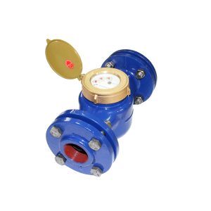 Đồng hồ nước trung đức