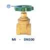 Van cua MI DN100