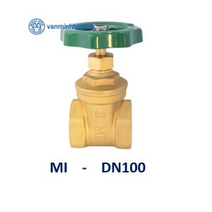 Van cua MI DN100