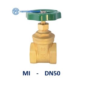 Van cua MI DN50