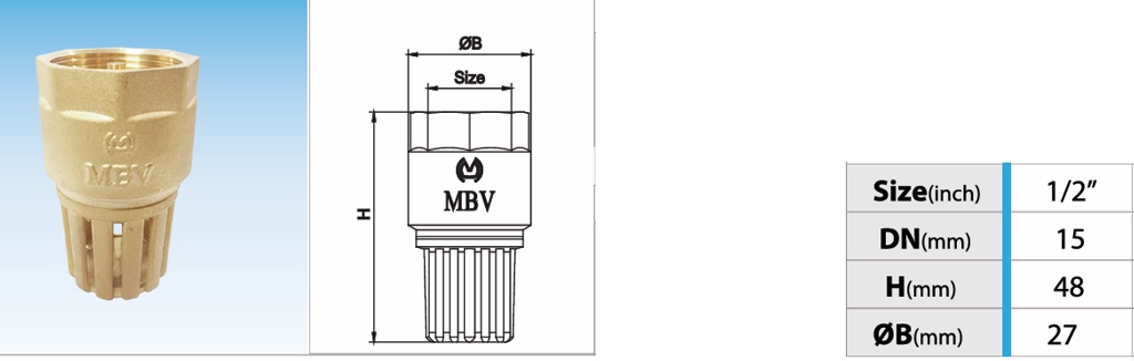 Cấu tạo rọ đồng MBV PN10 - DN15 Phi 21