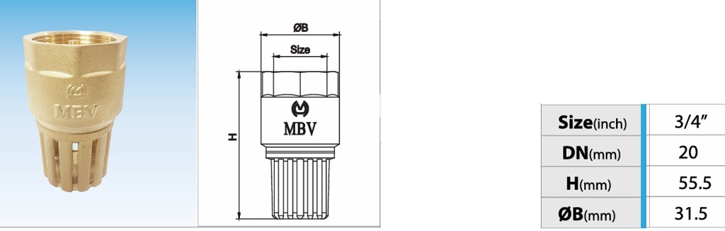 Cấu tạo rọ đồng MBV PN10 - DN20 Phi 27