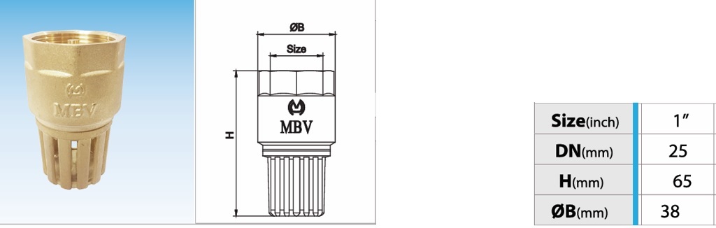 Thông số kỹ thuật rọ đồng MBV PN10 - DN25 Phi 34