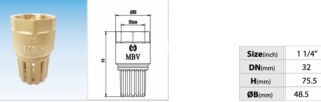Cấu tạo rọ đồng MBV PN10 - DN32 Phi 42
