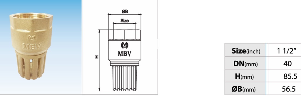 Cấu tạo rọ đồng MBV PN10 - DN40 Phi 49