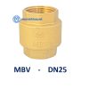 Van 1 chieu dong lo xo MBV DN25