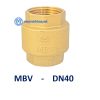 Van 1 chieu dong lo xo MBV DN40