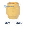 Van 1 chieu dong lo xo MBV DN65