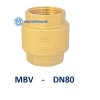 Van 1 chieu dong lo xo MBV DN80