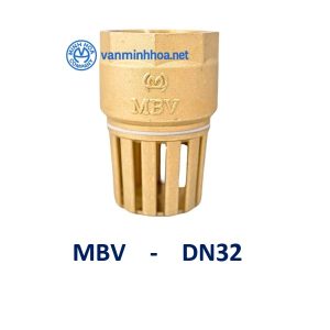 ro dong MBV DN32