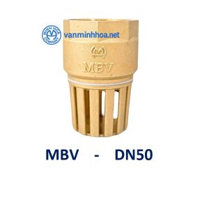 ro dong MBV DN50