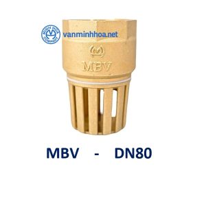ro dong MBV DN80