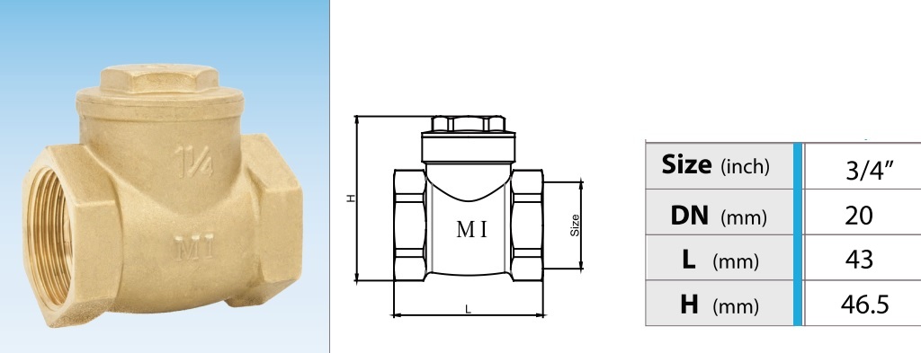 Cấu tạo van 1 chiều đồng lá lật MI PN10 - DN20 Phi27