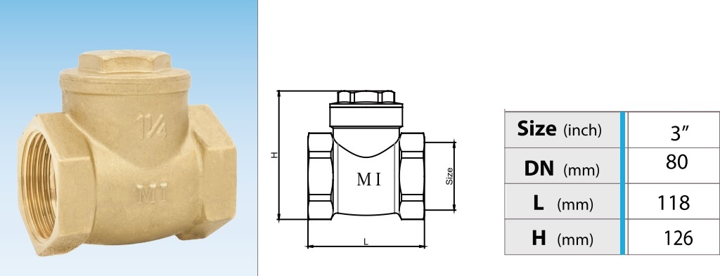 Cấu tạo van 1 chiều đồng lá lật MI PN10 - DN80 Phi90