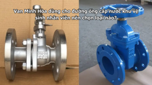 van minh hòa dùng cho đường ống cấp nước khu vệ sinh nhân viên nên chọn loại nào?